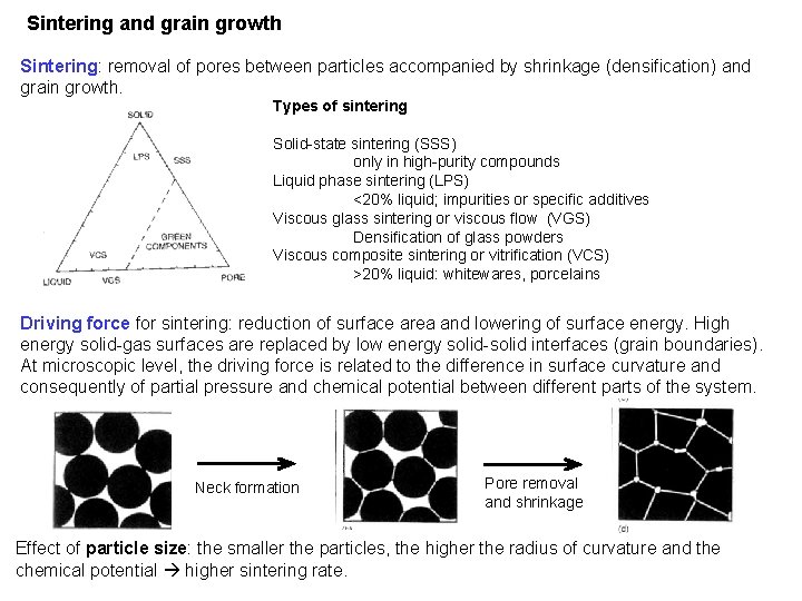 Sintering and grain growth Sintering: removal of pores between particles accompanied by shrinkage (densification)