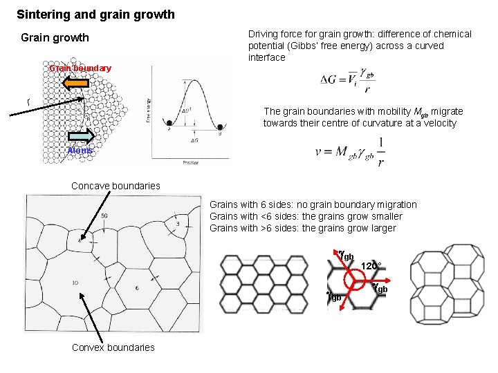 Sintering and grain growth Grain growth Driving force for grain growth: difference of chemical