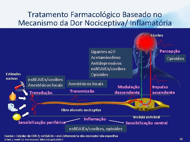 Tratamento Farmacológico Baseado no Mecanismo da Dor Nociceptiva/ Inflamatória Cérebro Estímulos nocivos ns. NSAIDs/coxibes