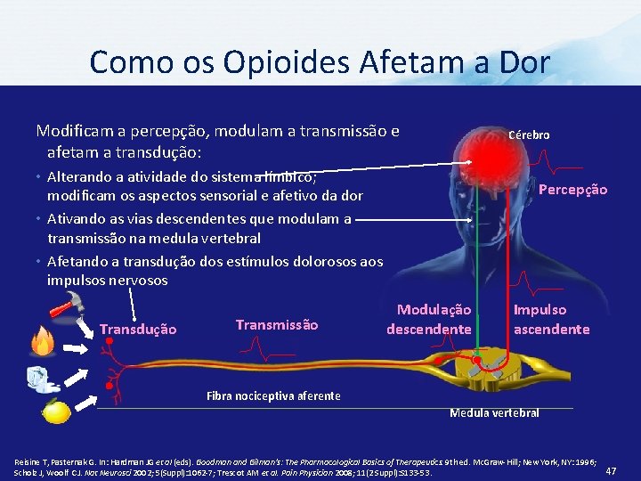 Como os Opioides Afetam a Dor Modificam a percepção, modulam a transmissão e afetam