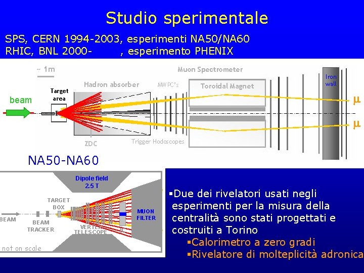 Studio sperimentale SPS, CERN 1994 -2003, esperimenti NA 50/NA 60 RHIC, BNL 2000, esperimento