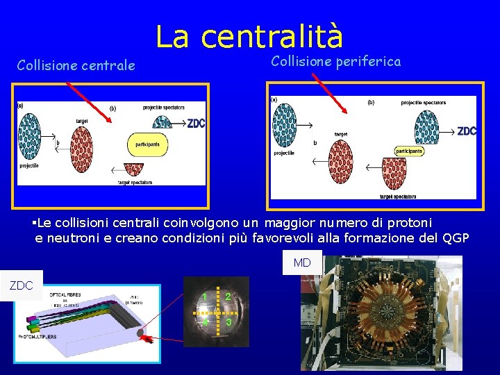La centralità Collisione periferica Collisione centrale §Le collisioni centrali coinvolgono un maggior numero di