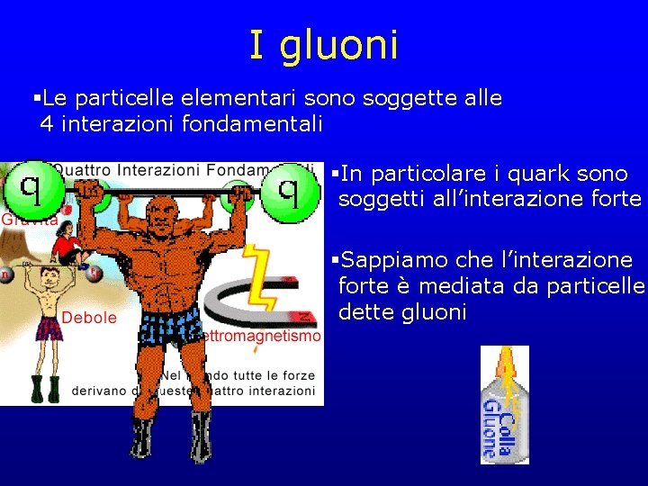 I gluoni §Le particelle elementari sono soggette alle 4 interazioni fondamentali §In particolare i