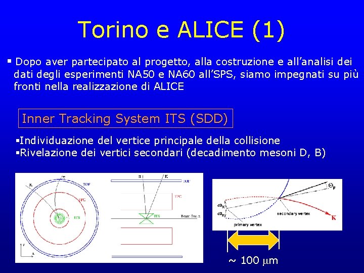 Torino e ALICE (1) § Dopo aver partecipato al progetto, alla costruzione e all’analisi