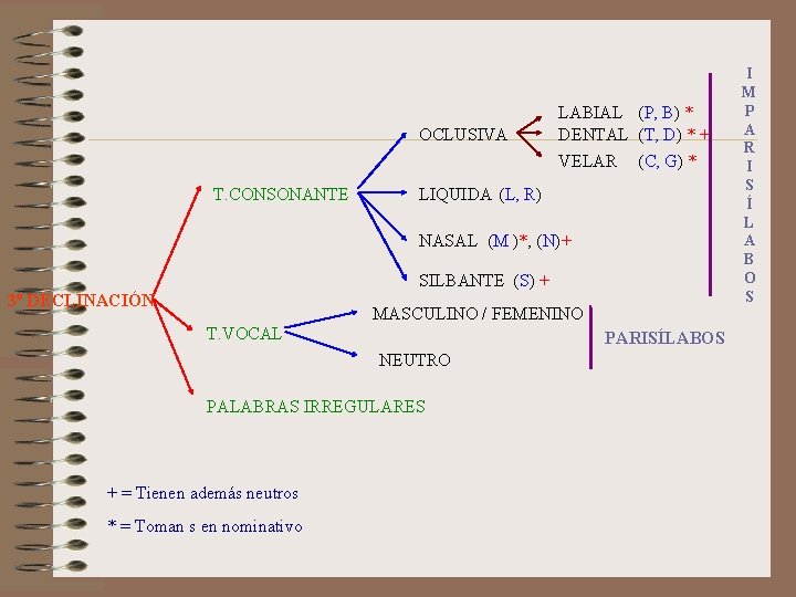OCLUSIVA LABIAL (P, B) * DENTAL (T, D) * + VELAR T. CONSONANTE (C,