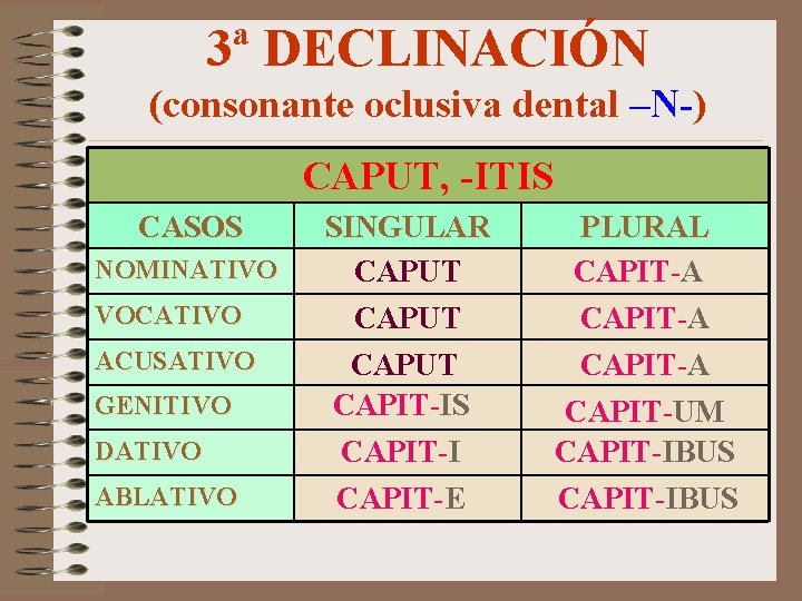 3ª DECLINACIÓN (consonante oclusiva dental –N-) CAPUT, -ITIS CASOS NOMINATIVO VOCATIVO ACUSATIVO GENITIVO DATIVO
