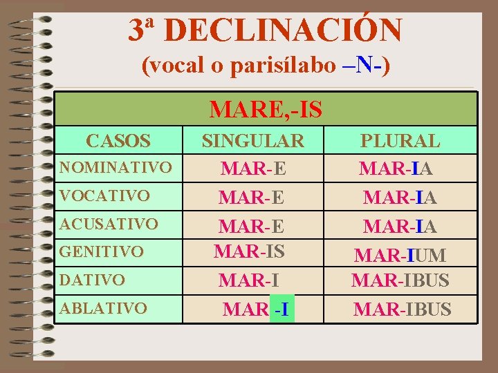 3ª DECLINACIÓN (vocal o parisílabo –N-) MARE, -IS CASOS NOMINATIVO VOCATIVO ACUSATIVO GENITIVO DATIVO