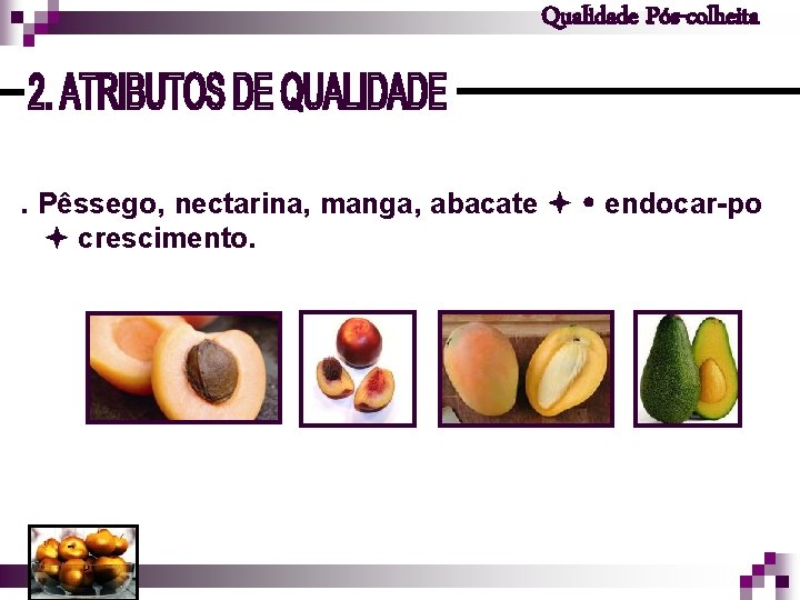 Qualidade Pós-colheita . Pêssego, nectarina, manga, abacate endocar-po crescimento. 