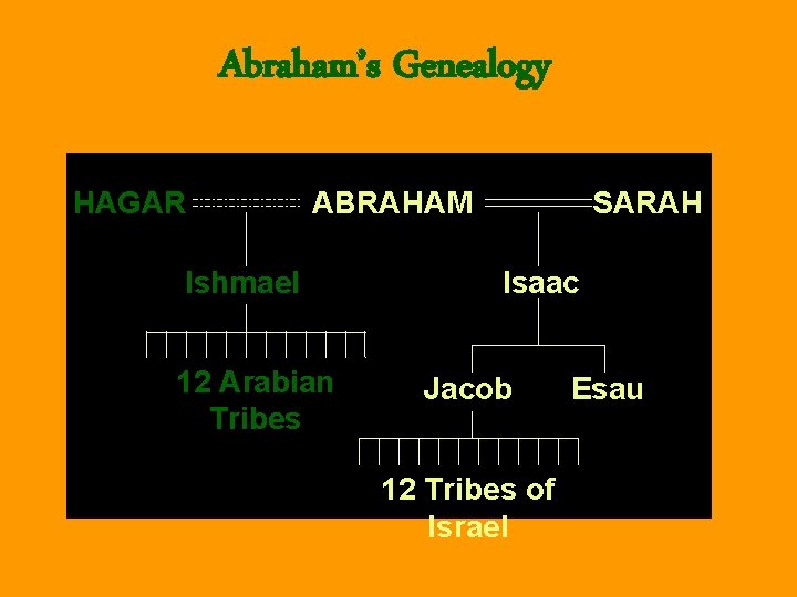 Abraham’s Genealogy HAGAR ABRAHAM Ishmael 12 Arabian Tribes SARAH Isaac Jacob 12 Tribes of