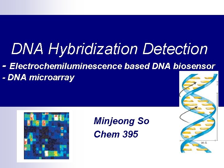 DNA Hybridization Detection - Electrochemiluminescence based DNA biosensor - DNA microarray Minjeong So Chem