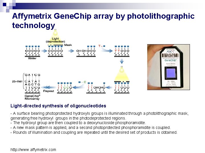 Affymetrix Gene. Chip array by photolithographic technology Light-directed synthesis of oligonucleotides - A surface