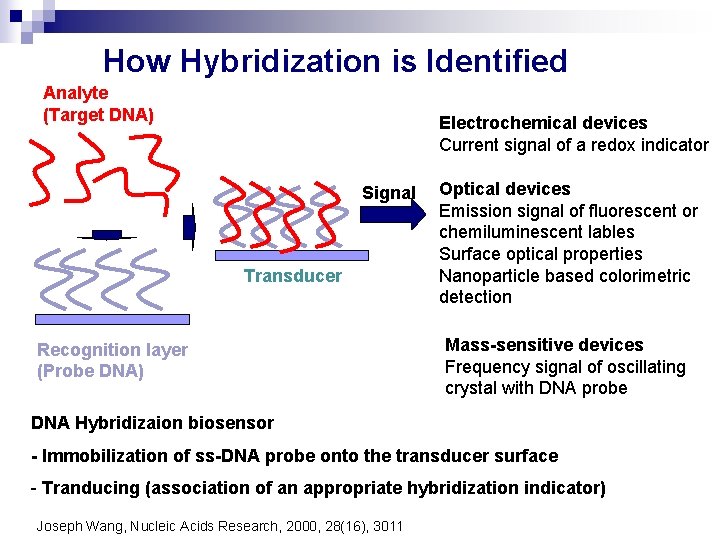 How Hybridization is Identified Analyte (Target DNA) Electrochemical devices Current signal of a redox