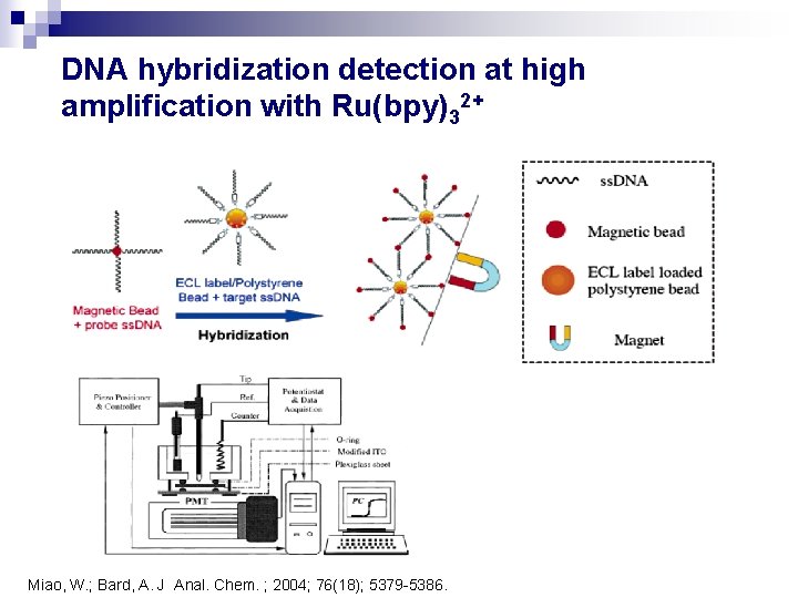 DNA hybridization detection at high amplification with Ru(bpy)32+ Miao, W. ; Bard, A. J