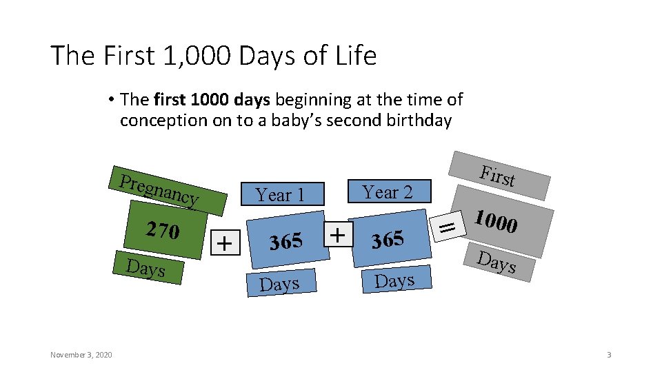 The First 1, 000 Days of Life • The first 1000 days beginning at