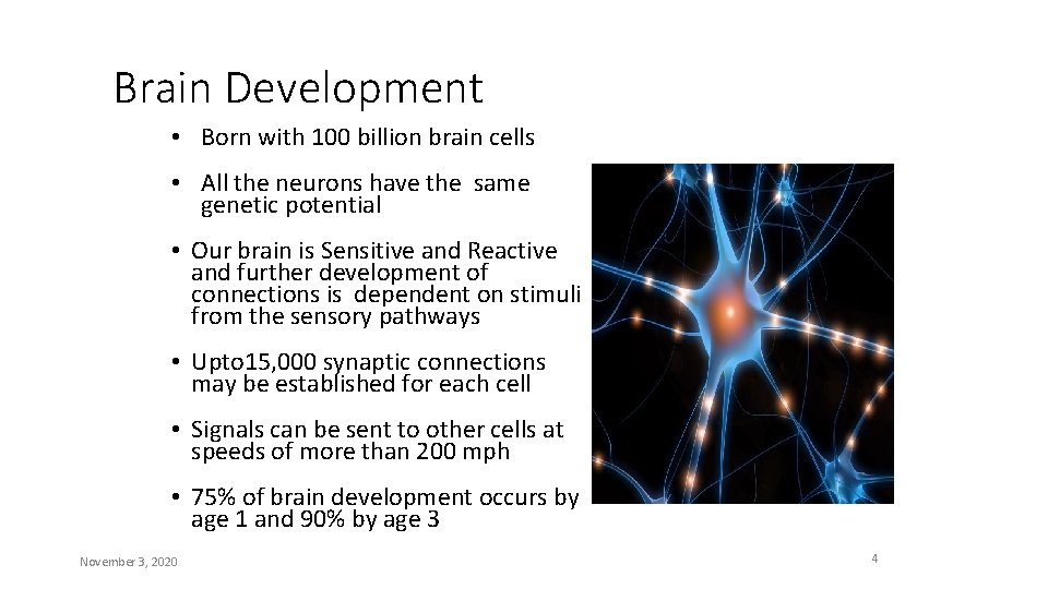  Brain Development • Born with 100 billion brain cells • All the neurons