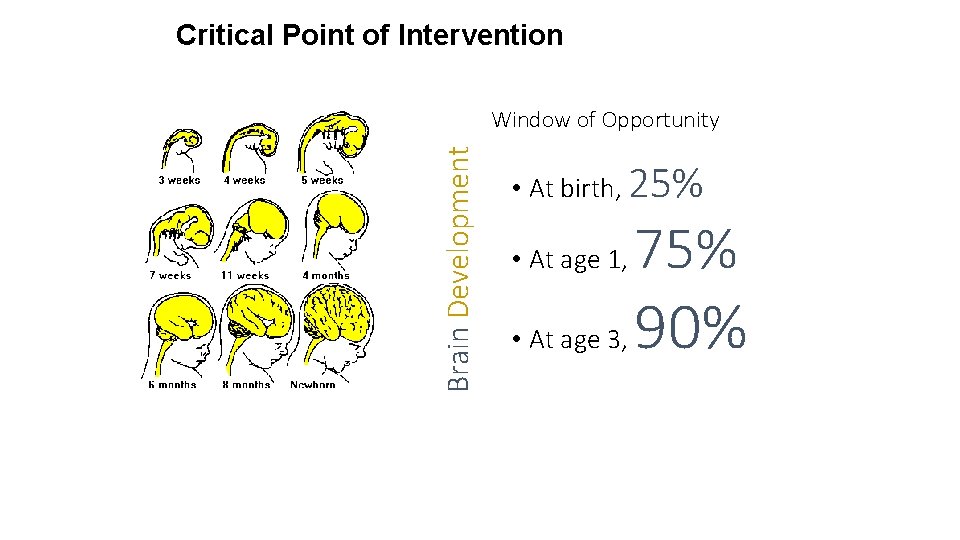  Critical Point of Intervention Critical Point of Brain Development Window of Opportunity •