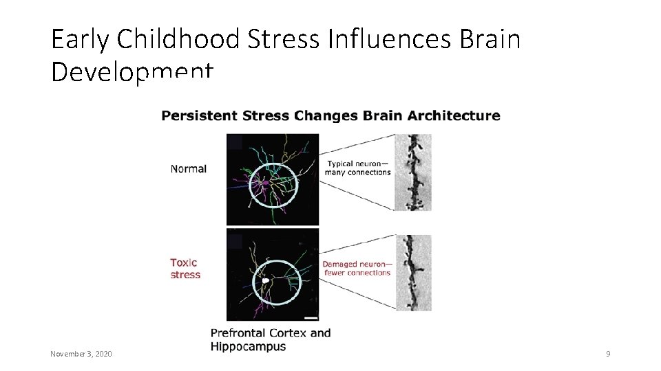 Early Childhood Stress Influences Brain Development November 3, 2020 9 