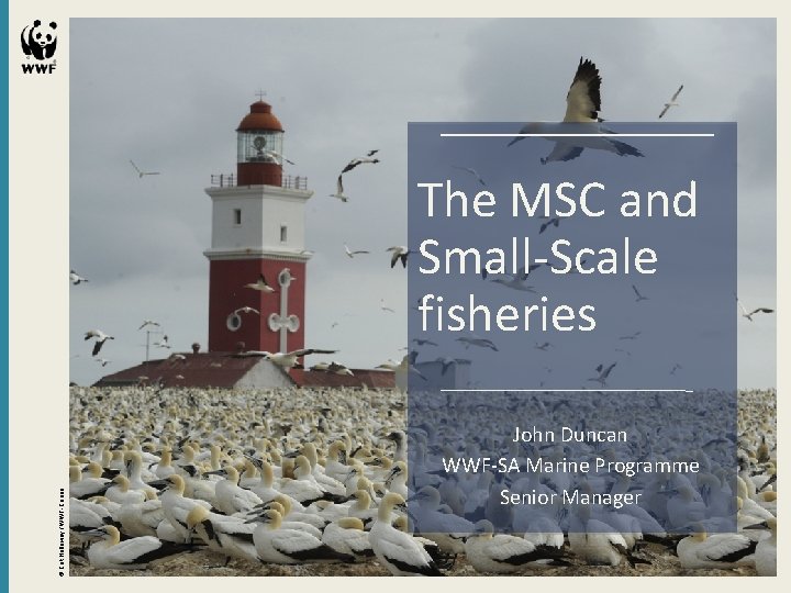 © Cat Holloway / WWF-Canon The MSC and Small-Scale fisheries John Duncan WWF-SA Marine