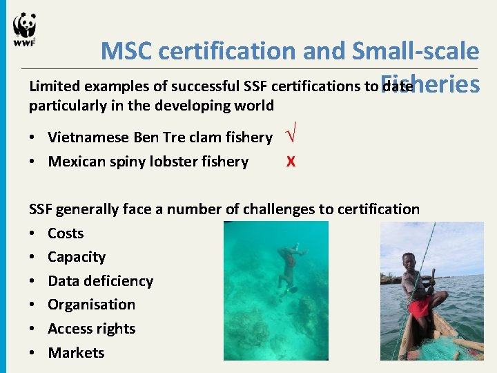 MSC certification and Small-scale Limited examples of successful SSF certifications to Fisheries date particularly