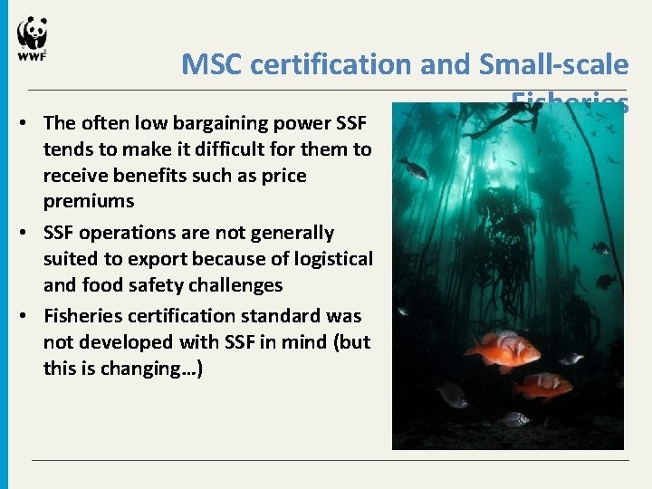  • MSC certification and Small-scale Fisheries The often low bargaining power SSF tends