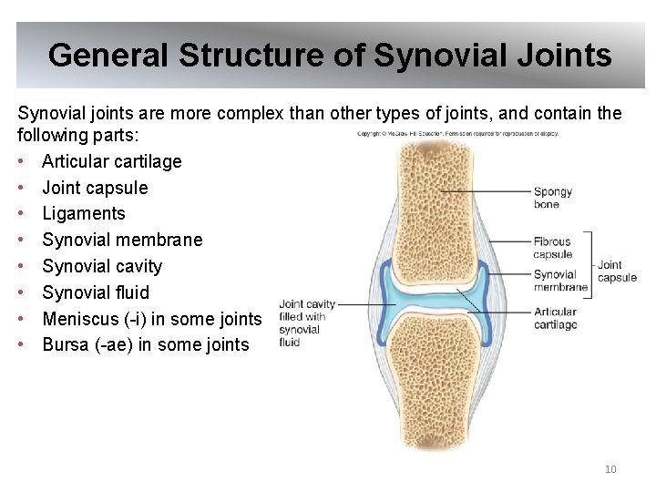 General Structure of Synovial Joints Synovial joints are more complex than other types of