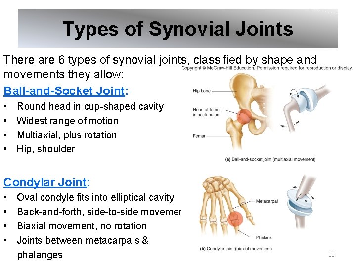 Types of Synovial Joints There are 6 types of synovial joints, classified by shape