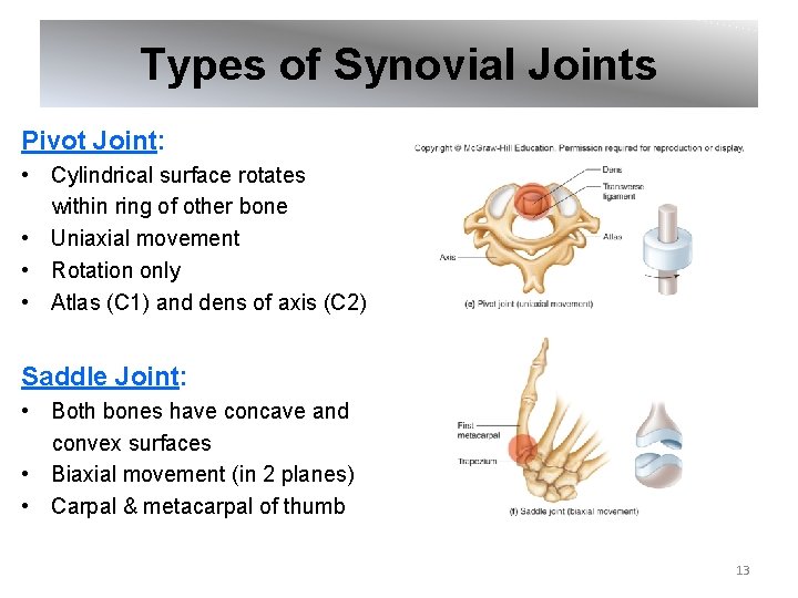 Types of Synovial Joints Pivot Joint: • Cylindrical surface rotates within ring of other