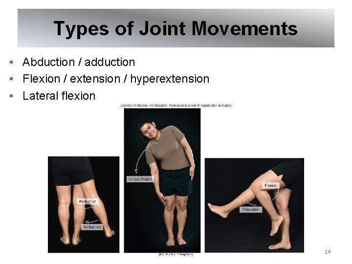 Types of Joint Movements • Abduction / adduction • Flexion / extension / hyperextension