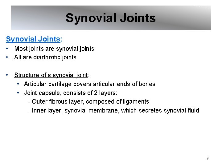 Synovial Joints: • Most joints are synovial joints • All are diarthrotic joints •