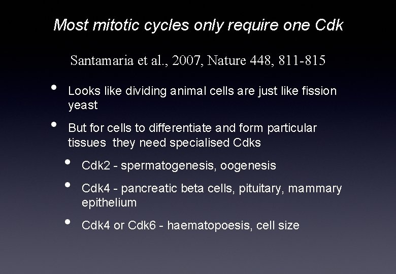 Most mitotic cycles only require one Cdk Santamaria et al. , 2007, Nature 448,