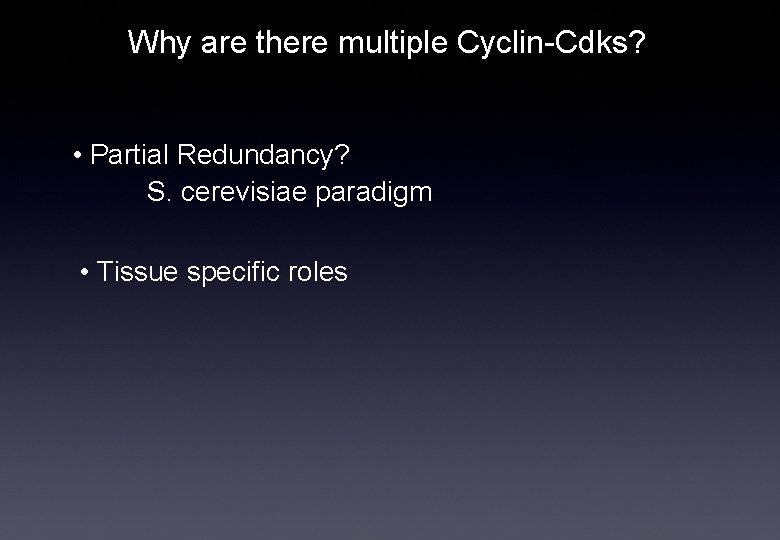 Why are there multiple Cyclin-Cdks? • Partial Redundancy? S. cerevisiae paradigm • Tissue specific