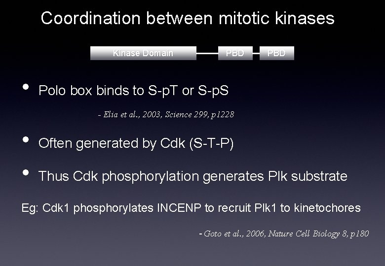 Coordination between mitotic kinases Kinase Domain • PBD Polo box binds to S-p. T