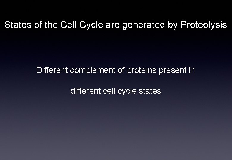 States of the Cell Cycle are generated by Proteolysis Different complement of proteins present