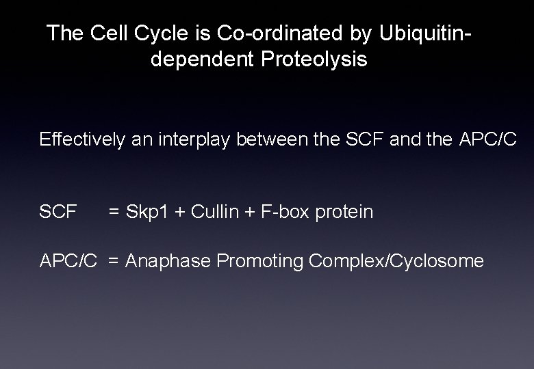 The Cell Cycle is Co-ordinated by Ubiquitindependent Proteolysis Effectively an interplay between the SCF