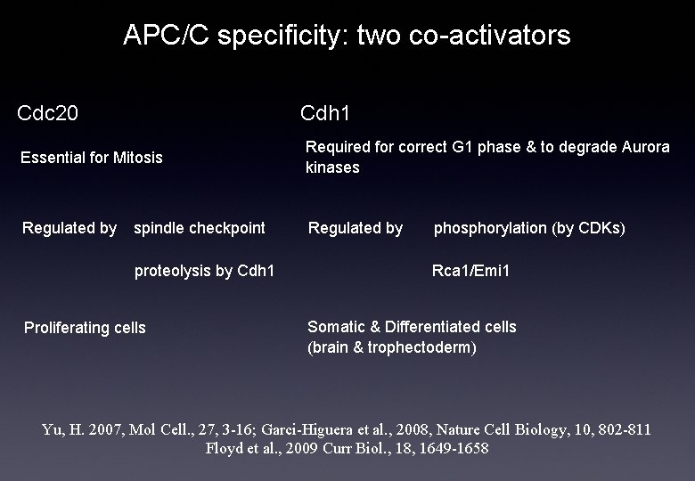 APC/C specificity: two co-activators Cdc 20 Cdh 1 Essential for Mitosis Required for correct