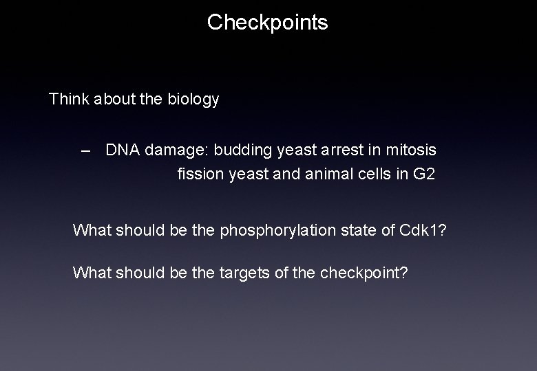 Checkpoints Think about the biology – DNA damage: budding yeast arrest in mitosis fission