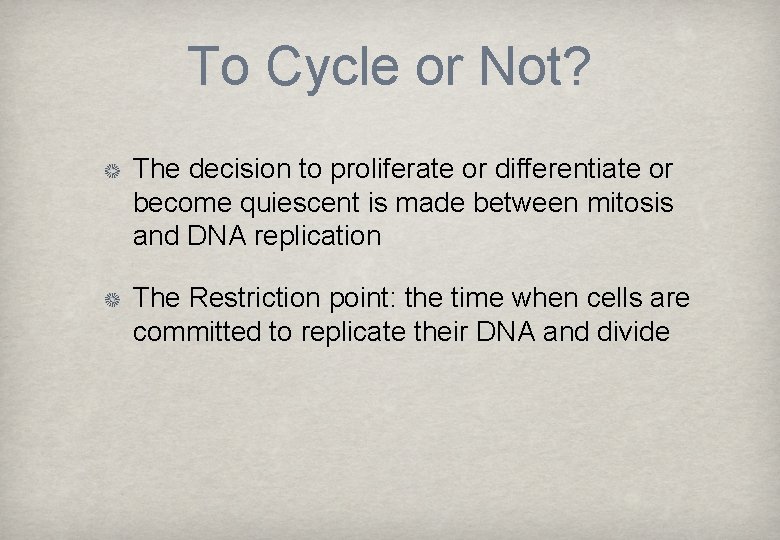 To Cycle or Not? The decision to proliferate or differentiate or become quiescent is