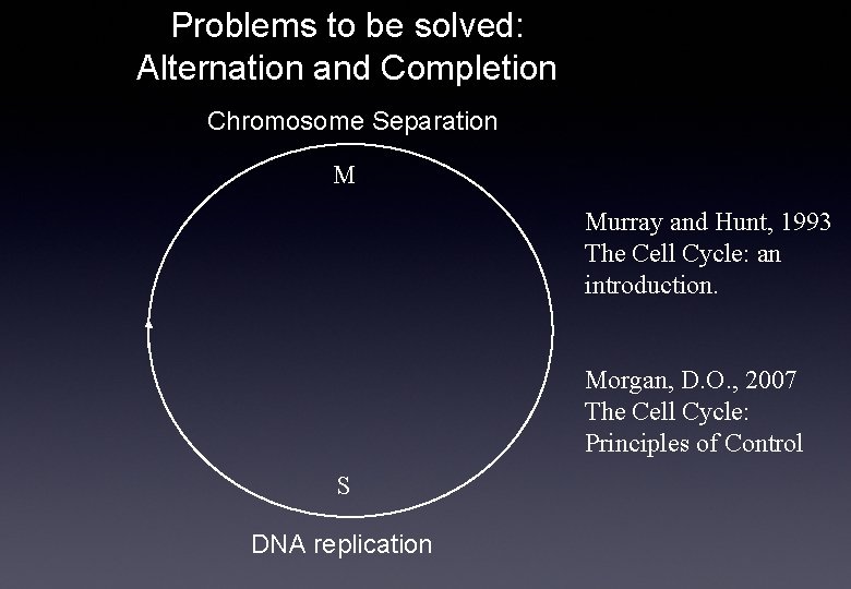 Problems to be solved: Alternation and Completion Chromosome Separation M Murray and Hunt, 1993