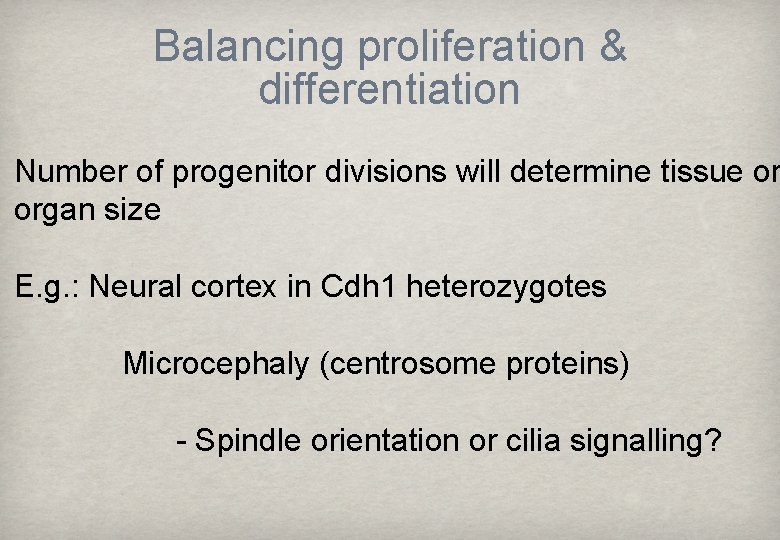 Balancing proliferation & differentiation Number of progenitor divisions will determine tissue or organ size