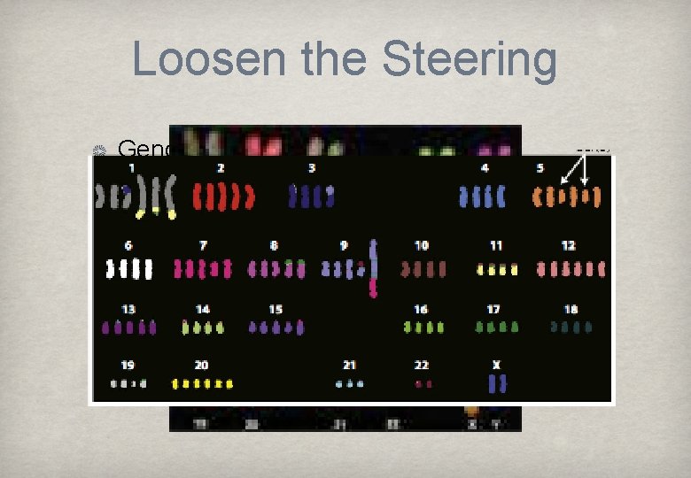 Loosen the Steering Genomic Instability Cancer Genomes can undergo massive rearrangements - mechanism unclear