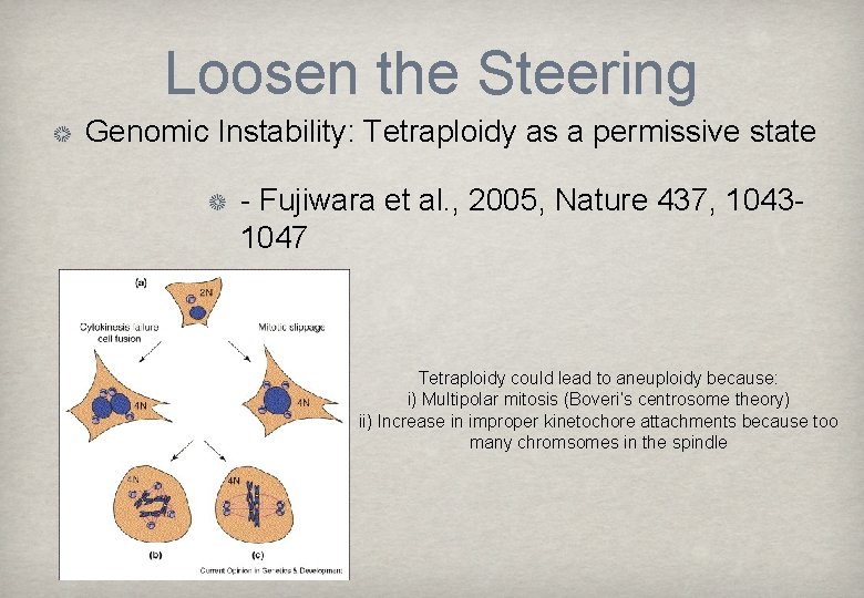 Loosen the Steering Genomic Instability: Tetraploidy as a permissive state - Fujiwara et al.