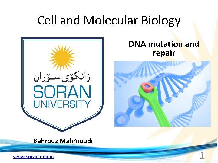 Cell and Molecular Biology DNA mutation and repair Behrouz Mahmoudi www. soran. edu. iq