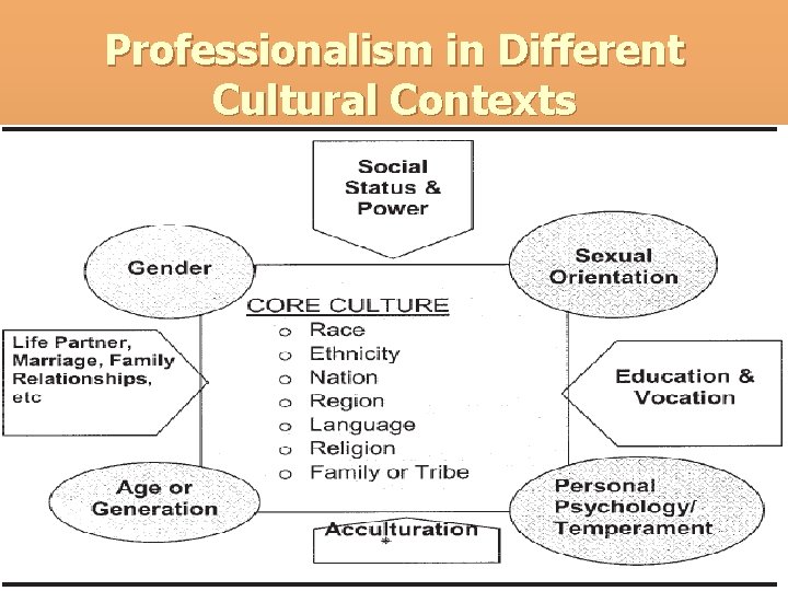 Professionalism in Different Cultural Contexts 