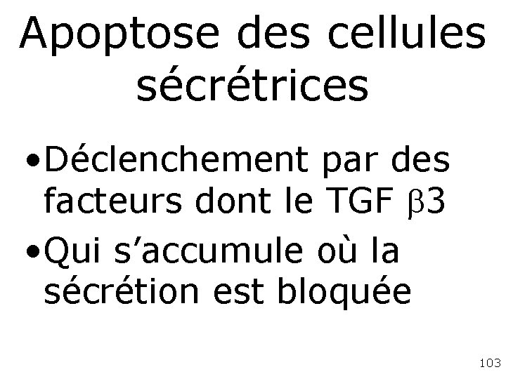 Apoptose des cellules sécrétrices • Déclenchement par des facteurs dont le TGF 3 • Apoptose des cellules sécrétrices • Déclenchement par des facteurs dont le TGF 3 •