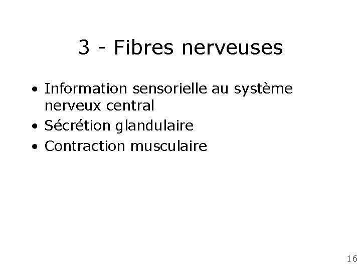 3 - Fibres nerveuses • Information sensorielle au système nerveux central • Sécrétion glandulaire 3 - Fibres nerveuses • Information sensorielle au système nerveux central • Sécrétion glandulaire
