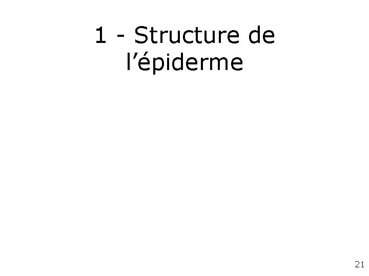 1 - Structure de l’épiderme 21 1 - Structure de l’épiderme 21