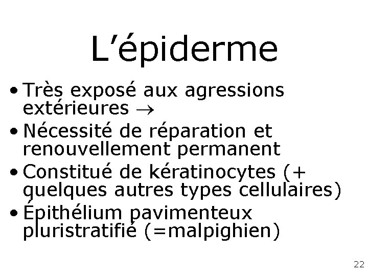 L’épiderme • Très exposé aux agressions extérieures • Nécessité de réparation et renouvellement permanent L’épiderme • Très exposé aux agressions extérieures • Nécessité de réparation et renouvellement permanent