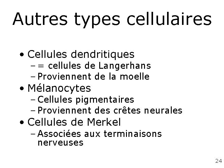 Autres types cellulaires • Cellules dendritiques – = cellules de Langerhans – Proviennent de Autres types cellulaires • Cellules dendritiques – = cellules de Langerhans – Proviennent de