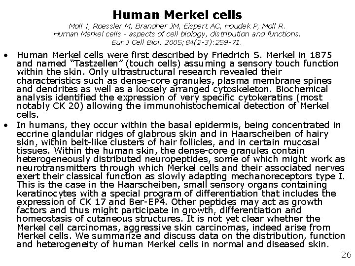 Human Merkel cells Moll I, Roessler M, Brandner JM, Eispert AC, Houdek P, Moll Human Merkel cells Moll I, Roessler M, Brandner JM, Eispert AC, Houdek P, Moll