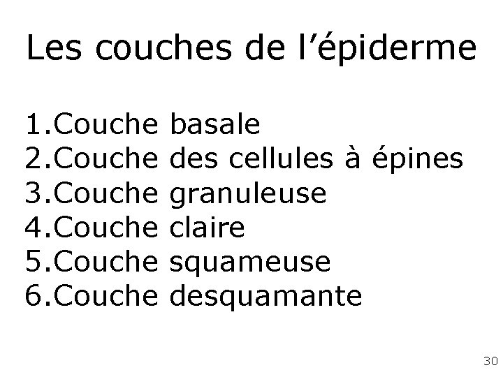 Les couches de l’épiderme 1. Couche basale 2. Couche des cellules à épines 3. Les couches de l’épiderme 1. Couche basale 2. Couche des cellules à épines 3.